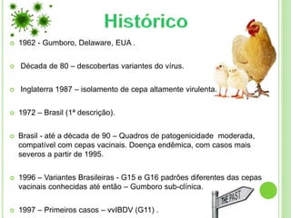  1962 - Gumboro, Delaware, EUA .
 Década de 80 – descobertas variantes do vírus.
 Inglaterra 1987 – isolamento de cepa altamente virulenta.
 1972 – Brasil (1ª descrição).
 Brasil - até a década de 90 – Quadros de patogenicidade moderada,
compatível com cepas vacinais. Doença endêmica, com casos mais
severos a partir de 1995.
 1996 – Variantes Brasileiras - G15 e G16 padrões diferentes das cepas
vacinais conhecidas até então – Gumboro sub-clínica.
 1997 – Primeiros casos – vvIBDV (G11) .
 