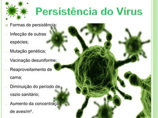  Formas de persistência:
- Infecção de outras
espécies;
- Mutação genética;
- Vacinação desuniforme;
- Reaproveitamento de
cama;
- Diminuição do período de
vazio sanitário;
- Aumento da concentração
de aves/m².
 