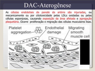 DAC-Aterogênese
As células endoteliais da parede da artéria são injuriadas, ou
mecanicamente ou por citotoxicidade pelas LDLs oxidadas ou pelas
células esponjosas, causando exposição da área afetada e agregação
plaquetária. Ocorre proliferação e migração das células musculares lisas.




                                                                      24
 