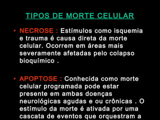 TIPOS DE MORTE CELULAR NECROSE :  Estímulos como isquemia e trauma é causa direta da morte celular. Ocorrem em áreas mais severamente afetadas pelo colapso bioquímico .  APOPTOSE :  Conhecida como morte celular programada pode estar presente em ambas doenças neurológicas agudas e ou crônicas . O estímulo da morte é ativada por uma cascata de eventos que orquestram a destruição da célula . Pode ser do tipo fisiológica (desenvolvimento normal) ou aberrante (doenças degenerativas). 