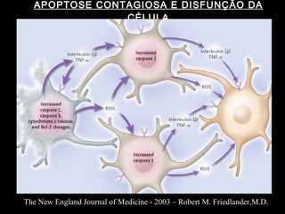 APOPTOSE CONTAGIOSA E DISFUNÇÃO DA CÉLULA The New England Journal of Medicine - 2003 – Robert M. Friedlander,M.D. 