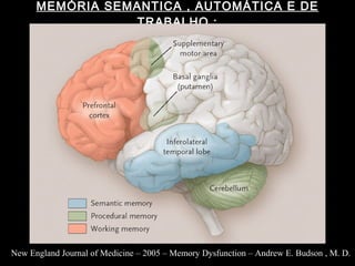 MEMÓRIA SEMANTICA , AUTOMÁTICA E DE TRABALHO : New England Journal of Medicine – 2005 – Memory Dysfunction – Andrew E. Budson , M. D. 