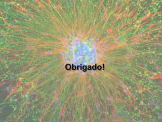 Obrigado!
 