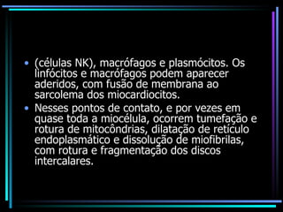 (células NK), macrófagos e plasmócitos. Os linfócitos e macrófagos podem aparecer aderidos, com fusão de membrana ao sarcolema dos miocardiocitos.  Nesses pontos de contato, e por vezes em quase toda a miocélula, ocorrem tumefação e rotura de mitocôndrias, dilatação de retículo endoplasmático e dissolução de miofibrilas, com rotura e fragmentação dos discos intercalares. 