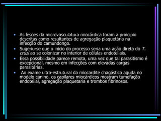 As lesões da microvasculatura miocárdica foram a principio descritas como resultantes de agregação plaquetária na infecção do camundongo.  Sugeriu-se que o inicio do processo seria uma ação direta do  T. cruzi  ao se colonizar no interior de células endoteliais.  Essa possibilidade parece remota, uma vez que tal parasitismo é excepcional, mesmo em infecções com elevadas cargas parasitárias. Ao exame ultra-estrutural da miocardite chagástica aguda no modelo canino, os capilares miocárdicos mostram tumefação endotelial, agregação plaquetaria e trombos fibrinosos. 