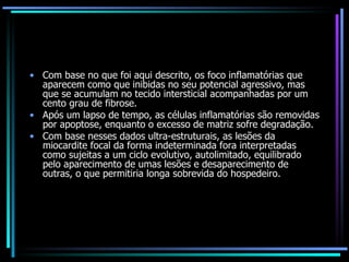 Com base no que foi aqui descrito, os foco inflamatórias que aparecem como que inibidas no seu potencial agressivo, mas que se acumulam no tecido intersticial acompanhadas por um cento grau de fibrose.  Após um lapso de tempo, as células inflamatórias são removidas por apoptose, enquanto o excesso de matriz sofre degradação.  Com base nesses dados ultra-estruturais, as lesões da miocardite focal da forma indeterminada fora interpretadas como sujeitas a um ciclo evolutivo, autolimitado, equilibrado pelo aparecimento de umas lesões e desaparecimento de outras, o que permitiria longa sobrevida do hospedeiro. 