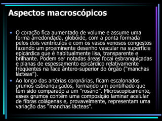 Aspectos macroscópicos O coração fica aumentado de volume e assume uma forma arredondada, globóide, com a ponta formada pelos dois ventrículos e com os vasos venosos congestos fazendo um proeminente desenho vascular na superfície epicárdica que é habitualmente lisa, transparente e brilhante. Podem ser notadas áreas focai esbranquiçadas e planas de espessamento epicárdico relativamente freqüentes na face ântero-superior do órgão (“manchas lácteas”).  Ao longo das artérias coronárias, ficam escalonados grumos esbranquiçados, formando um pontilhado que tem sido comparado a um “rosário”. Microscopicamente, esses grumos contêm uma composição laminar acelular de fibras colágenas e, provavelmente, representam uma variação das “manchas lácteas”. 