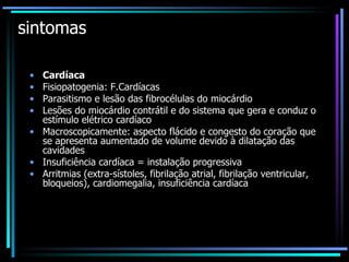 sintomas Cardíaca Fisiopatogenia: F.Cardíacas Parasitismo e lesão das fibrocélulas do miocárdio  Lesões do miocárdio contrátil e do sistema que gera e conduz o estímulo elétrico cardíaco  Macroscopicamente: aspecto flácido e congesto do coração que se apresenta aumentado de volume devido à dilatação das cavidades  Insuficiência cardíaca = instalação progressiva  Arritmias (extra-sístoles, fibrilação atrial, fibrilação ventricular, bloqueios), cardiomegalia, insuficiência cardíaca  