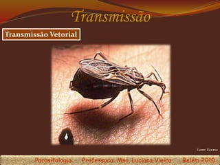 Transmissão
Transmissão Vetorial
Fonte: Fiocruz
Parasitologia Professora: Msc. Luciana Vieira Belém 2010
 