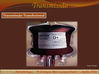 Transmissão Transfusional
Transmissão
Fonte: hemopa
Parasitologia Professora: Msc. Luciana Vieira Belém 2010
 