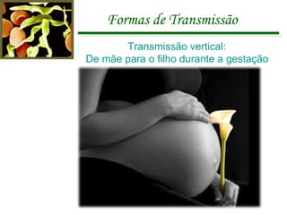 Formas de Transmissão Transmissão vertical:  De mãe para o filho durante a gestação 