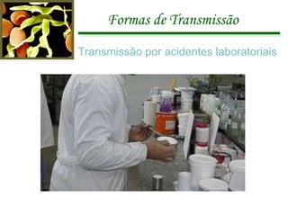 Formas de Transmissão Transmissão por acidentes laboratoriais 
