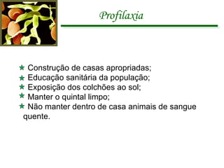 Profilaxia Construção de casas apropriadas; Educação sanitária da população; Exposição dos colchões ao sol; Manter o quintal limpo; Não manter dentro de casa animais de sangue  quente. 