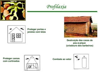 Profilaxia Proteger portas e  janelas com telas Proteger camas  com cortinados Combate ao vetor Destruição das casas de pau-a-pique  (criadouro dos barbeiros) 