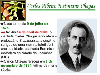 Carlos Ribeiro Justiniano Chagas Nasceu no dia  9 de julho de 1878. No dia  14 de abril de 1909 , o cientista Carlos Chagas encontrou o protozoário  Trypanossoma cruzi  no sangue de uma menina febril de 2 anos de idade, chamada Berenice, moradora da cidade de Lassance (MG). Carlos Chagas faleceu em  8 de novembro de 1934 , vítima de morte súbita. 