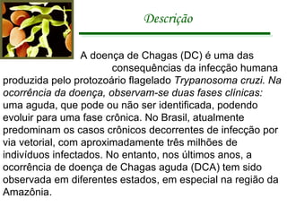 Descrição   A doença de Chagas (DC) é uma das  consequências da infecção humana produzida pelo protozoário flagelado  Trypanosoma cruzi. Na ocorrência da doença, observam-se duas fases clínicas:  uma aguda, que pode ou não ser identificada, podendo evoluir para uma fase crônica. No Brasil, atualmente predominam os casos crônicos decorrentes de infecção por via vetorial, com aproximadamente três milhões de indivíduos infectados. No entanto, nos últimos anos, a ocorrência de doença de Chagas aguda (DCA) tem sido observada em diferentes estados, em especial na região da Amazônia. 