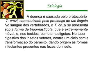 Etiologia   A doença é causada pelo protozoário T. cruzi, caracterizado pela presença de um flagelo.  No  sangue dos vertebrados, o  T. cruzi se apresenta  sob a forma de tripomastigota, que é extremamente móvel, e, nos tecidos, como amastigotas. No tubo  digestivo dos insetos vetores, ocorre um ciclo com a transformação do parasito, dando origem as formas infectantes presentes nas fezes do inseto. 