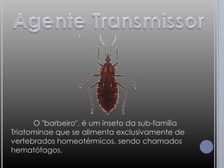 Agente Transmissor 	O "barbeiro", é um inseto da sub-família Triatominae que se alimenta exclusivamente de vertebrados homeotérmicos, sendo chamados hematófagos. 