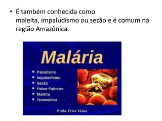 • É também conhecida como
  maleita, impaludismo ou sezão e é comum na
  região Amazônica.
 