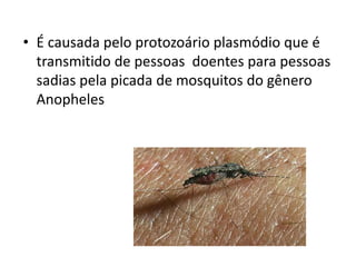 • É causada pelo protozoário plasmódio que é
  transmitido de pessoas doentes para pessoas
  sadias pela picada de mosquitos do gênero
  Anopheles
 