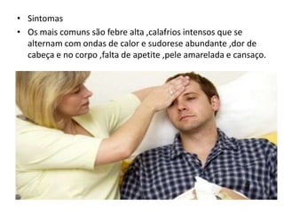 • Sintomas
• Os mais comuns são febre alta ,calafrios intensos que se
  alternam com ondas de calor e sudorese abundante ,dor de
  cabeça e no corpo ,falta de apetite ,pele amarelada e cansaço.
 
