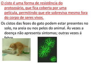 O cisto é uma forma de resistência do
  protozoário, que fica coberta por uma
  película, permitindo que ele sobreviva mesmo fora
  do corpo de seres vivos.
Os cistos das fezes do gato podem estar presentes no
  solo, na areia ou nos pelos do animal. Ás vezes a
  doença não apresenta sintomas; outras vezes á
  febre.
 