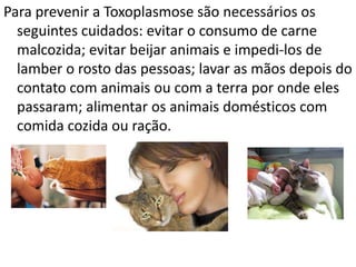 Para prevenir a Toxoplasmose são necessários os
  seguintes cuidados: evitar o consumo de carne
  malcozida; evitar beijar animais e impedi-los de
  lamber o rosto das pessoas; lavar as mãos depois do
  contato com animais ou com a terra por onde eles
  passaram; alimentar os animais domésticos com
  comida cozida ou ração.
 