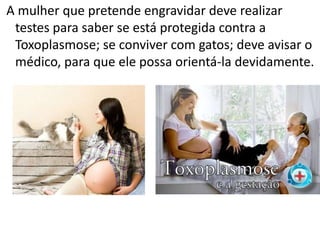 A mulher que pretende engravidar deve realizar
 testes para saber se está protegida contra a
 Toxoplasmose; se conviver com gatos; deve avisar o
 médico, para que ele possa orientá-la devidamente.
 