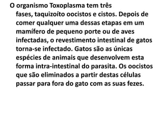 O organismo Toxoplasma tem três
  fases, taquizoíto oocistos e cistos. Depois de
  comer qualquer uma dessas etapas em um
  mamífero de pequeno porte ou de aves
  infectadas, o revestimento intestinal de gatos
  torna-se infectado. Gatos são as únicas
  espécies de animais que desenvolvem esta
  forma intra-intestinal do parasita. Os oocistos
  que são eliminados a partir destas células
  passar para fora do gato com as suas fezes.
 
