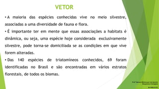 VETOR
• A maioria das espécies conhecidas vive no meio silvestre,
associadas a uma diversidade de fauna e flora.
• É importante ter em mente que essas associações a habitats é
dinâmica, ou seja, uma espécie hoje considerada exclusivamente
silvestre, pode torna-se domiciliada se as condições em que vive
forem alteradas.
• Das 140 espécies de triatomíneos conhecidos, 69 foram
identificadas no Brasil e são encontradas em vários estratos
florestais, de todos os biomas.
Profª Monara Bittencourt de Amorim
Bioquímica-Citologista
bittencourt.monara7@gmail.com
84 9985 8153
 
