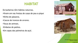 HABITAT
Os barbeiros têm hábitos noturnos.
•Vivem em nas frestas de casas de pau-a-pique
•Ninho de pássaros.
•Cascas de troncos de arvores.
•Tocas de animais.
•Embaixo de pedras.
•Em copas das palmeiras do açaí.
Profª Monara Bittencourt de Amorim
Bioquímica-Citologista
bittencourt.monara7@gmail.com
84 9985 8153
 