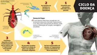 Profª Monara Bittencourt de Amorim
Bioquímica-Citologista
bittencourt.monara7@gmail.com
84 9985 8153
Profª Monara Bittencourt de Amorim
Bioquímica-Citologista
bittencourt.monara7@gmail.com
84 9985 8153
 