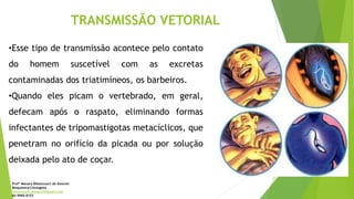 TRANSMISSÃO VETORIAL
•Esse tipo de transmissão acontece pelo contato
do homem suscetível com as excretas
contaminadas dos triatimíneos, os barbeiros.
•Quando eles picam o vertebrado, em geral,
defecam após o raspato, eliminando formas
infectantes de tripomastigotas metacíclicos, que
penetram no orifício da picada ou por solução
deixada pelo ato de coçar.
Profª Monara Bittencourt de Amorim
Bioquímica-Citologista
bittencourt.monara7@gmail.com
84 9985 8153
 