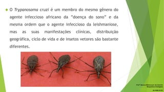  O Trypanosoma cruzi é um membro do mesmo gênero do
agente infeccioso africano da ”doença do sono” e da
mesma ordem que o agente infeccioso da leishmaniose,
mas as suas manifestações clínicas, distribuição
geográfica, ciclo de vida e de insetos vetores são bastante
diferentes.
Profª Monara Bittencourt de Amorim
Bioquímica-Citologista
bittencourt.monara7@gmail.com
84 9985 8153
 