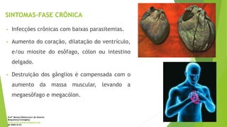 SINTOMAS-FASE CRÔNICA
• Infecções crônicas com baixas parasitemias.
• Aumento do coração, dilatação do ventrículo,
e/ou miosite do esôfago, cólon ou intestino
delgado.
• Destruição dos gânglios é compensada com o
aumento da massa muscular, levando a
megaesôfago e megacólon.
Profª Monara Bittencourt de Amorim
Bioquímica-Citologista
bittencourt.monara7@gmail.com
84 9985 8153
 