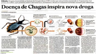 Profª Monara Bittencourt de Amorim
Bioquímica-Citologista
bittencourt.monara7@gmail.com
84 9985 8153
 