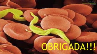 OBRIGADA!!!
Profª Monara Bittencourt de Amorim
Bioquímica-Citologista
bittencourt.monara7@gmail.com
84 9985 8153
 