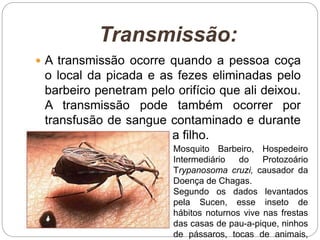 Transmissão:
 A transmissão ocorre quando a pessoa coça
o local da picada e as fezes eliminadas pelo
barbeiro penetram pelo orifício que ali deixou.
A transmissão pode também ocorrer por
transfusão de sangue contaminado e durante
a gravidez, da mãe para filho.
Mosquito Barbeiro, Hospedeiro
Intermediário do Protozoário
Trypanosoma cruzi, causador da
Doença de Chagas.
Segundo os dados levantados
pela Sucen, esse inseto de
hábitos noturnos vive nas frestas
das casas de pau-a-pique, ninhos
de pássaros, tocas de animais,
 
