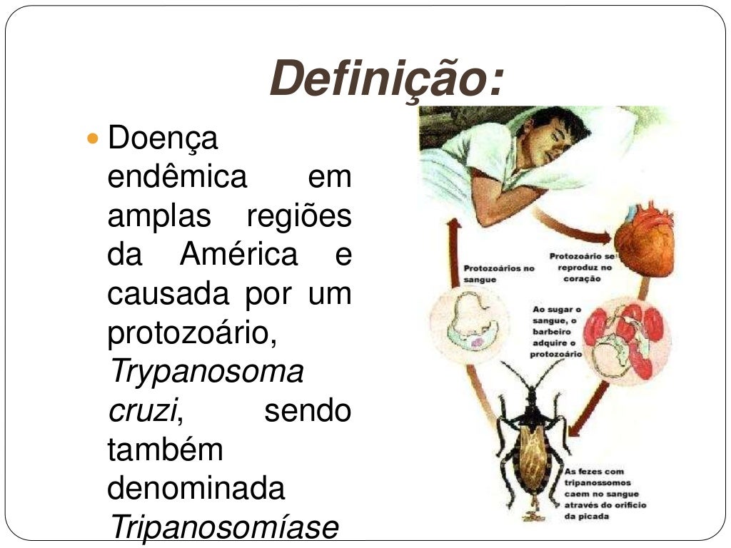 Com Relação A Doença De Chagas Indique