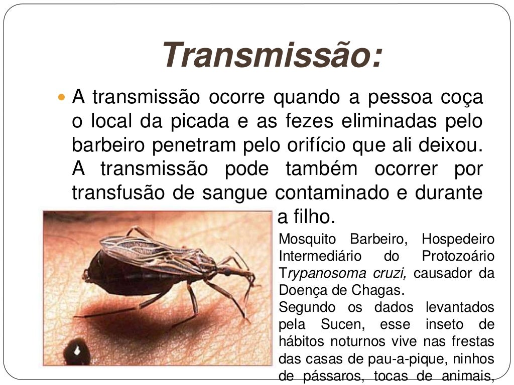 O Micro organismo Que Provoca O Mal De Chagas é Um