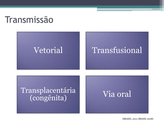 Transmissão
Vetorial Transfusional
Transplacentária
(congênita) Via oral
(BRASIL, 2011; BRASIL 2008)
 