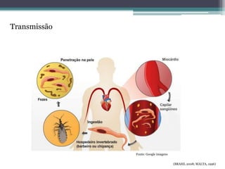 Transmissão
Fonte: Google imagens
(BRASIL 2008; MALTA, 1996)
 