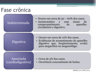 Fase crônica
• Ocorre em cerca de 50 – 60% dos casos.
• Assintomático e sem sinais de
comprometimento do aparelho
circulatório e digestivo.
Indeterminada
• Ocorre em cerca de 10% dos casos.
• Evidências de acometimento do aparelho
digestivo que, freqüentemente, evolui
para megacólon ou megaesôfago.
Digestiva
• Cerca de 5% dos casos.
• Ocorrência concomitante de lesões.
Associada
(cardiodigestiva)
(BRASIL, 2011; DIAS, 2007)
 