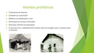 Medidas profiláticas:
 Tratamento de doentes
 Combate ao transmissor
 Melhoria nas habitações rurais
 Eliminação de animais infectados
 Educação sanitária da população
 O açaí deve ser cuidadosamente lavado antes da moagem para o preparo para
o consumo
 
