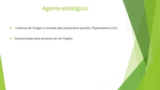 Agente etiológico:
 A doença de Chagas é causada pelo protozoário parasita Trypanosoma cruzi.
 Caracterizado pela presença de um flagelo.
 