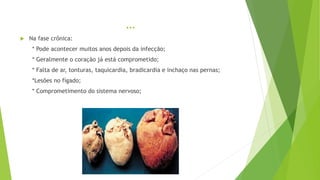 ...
 Na fase crônica:
* Pode acontecer muitos anos depois da infecção;
* Geralmente o coração já está comprometido;
* Falta de ar, tonturas, taquicardia, bradicardia e inchaço nas pernas;
*Lesões no fígado;
* Comprometimento do sistema nervoso;
 