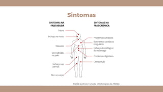 Sintomas
 