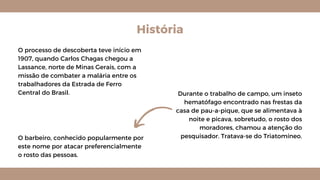 História
O processo de descoberta teve início em
1907, quando Carlos Chagas chegou a
Lassance, norte de Minas Gerais, com a
missão de combater a malária entre os
trabalhadores da Estrada de Ferro
Central do Brasil. Durante o trabalho de campo, um inseto
hematófago encontrado nas frestas da
casa de pau-a-pique, que se alimentava à
noite e picava, sobretudo, o rosto dos
moradores, chamou a atenção do
pesquisador. Tratava-se do Triatomíneo.
O barbeiro, conhecido popularmente por
este nome por atacar preferencialmente
o rosto das pessoas.
 