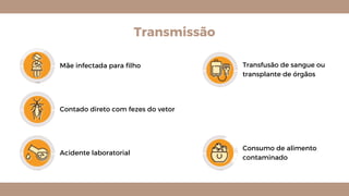 Transmissão
Mãe infectada para filho
Contado direto com fezes do vetor
Acidente laboratorial
Transfusão de sangue ou
transplante de órgãos
Consumo de alimento
contaminado
 