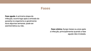 Fases
Fase aguda: A primeira etapa da
infecção, ocorre logo após a entrada do
parasita no organismo e geralmente
dura algumas semanas, pode ser
assintomática ou não.
Fase crônica: Surge meses ou anos após
a infecção, principalmente quando a fase
aguda não é tratada.
 